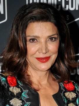 Shohreh Aghdashloo