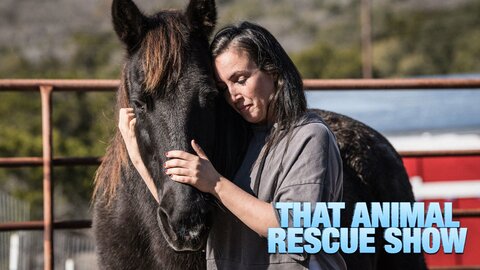 That Animal Rescue Show