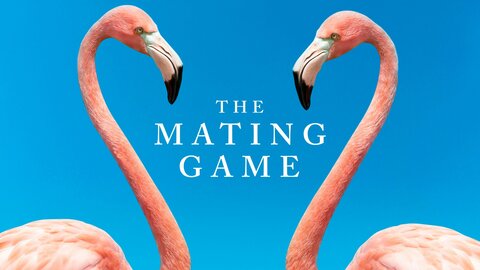 The Mating Game (2021)